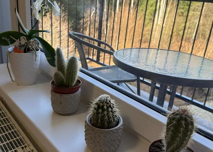 شقة Kurt Mariánské Lázně